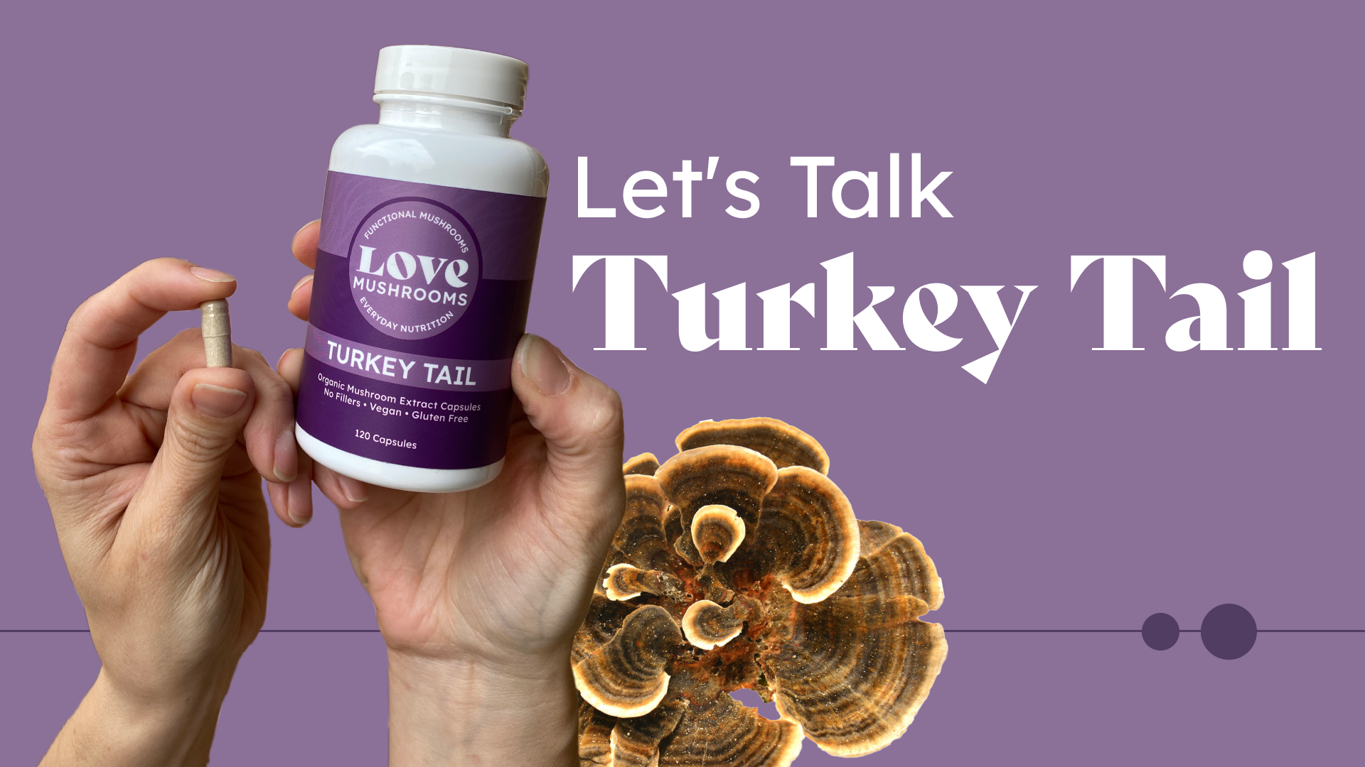 Turkey Tail Mushrooms: Let's Talk Turkey Tail