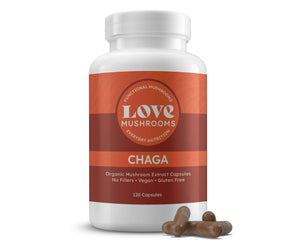 Chaga Extract Capsules - Love Mushrooms