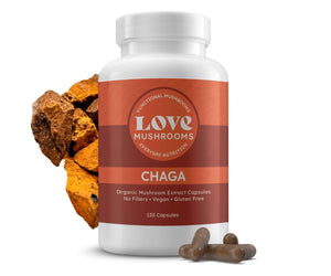 Chaga Extract Capsules - Love Mushrooms