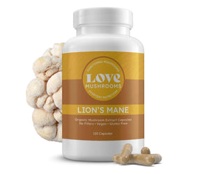 Lion's Mane Extract Capsules - Love Mushrooms